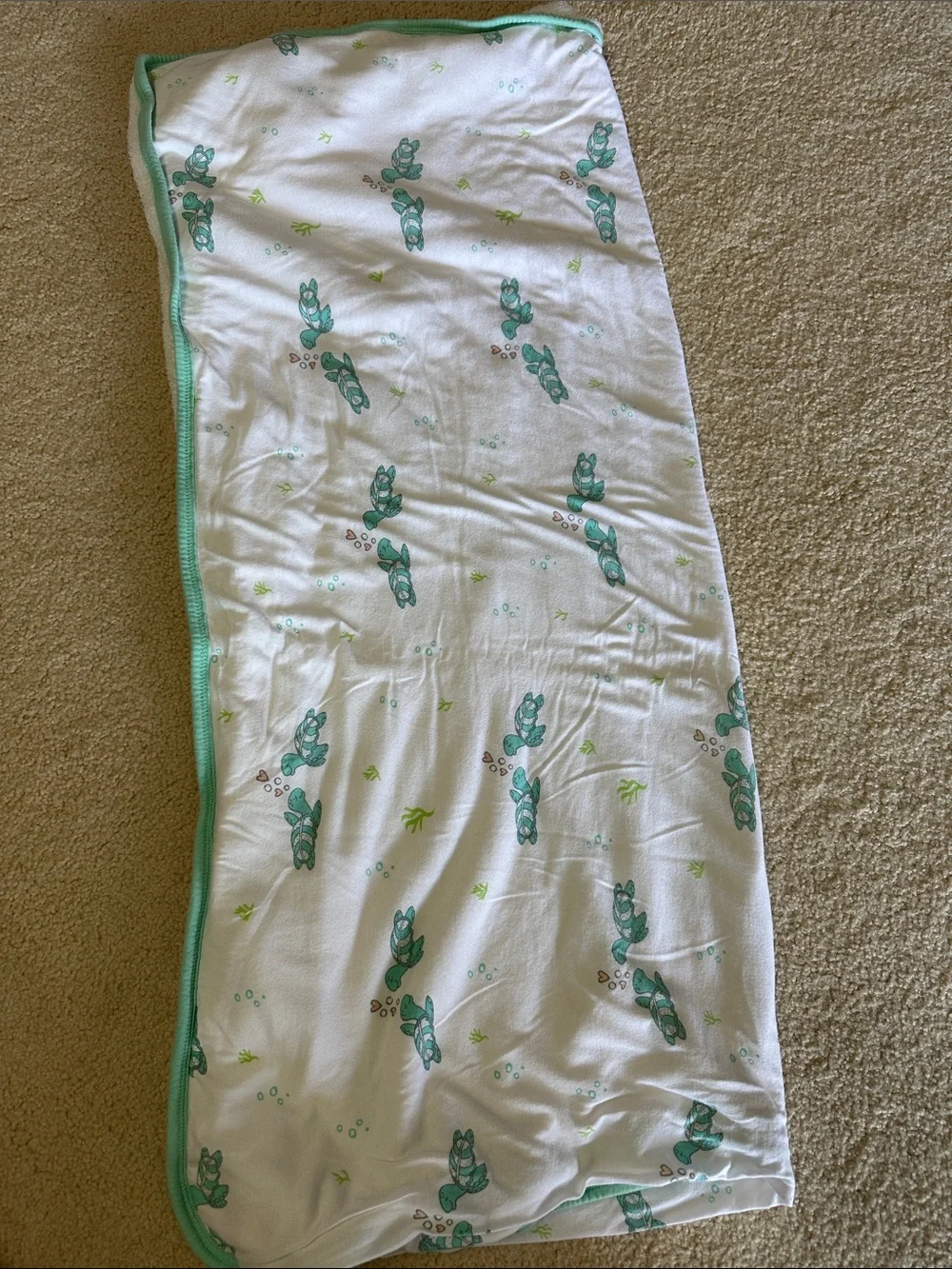 Baby Hooded Towel with Mint Trim - Soft White Cotton Terry
